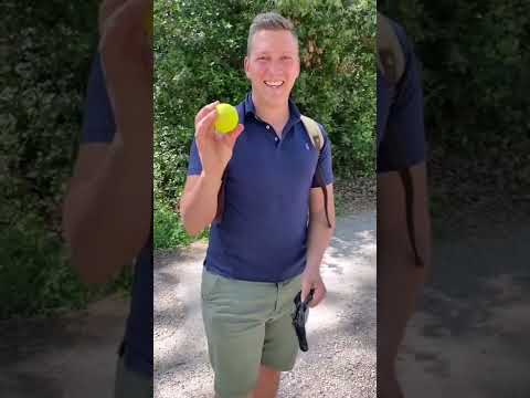 Pourquoi j'ai fait ça ??  - Pourquoi j'ai fait ça ?? 