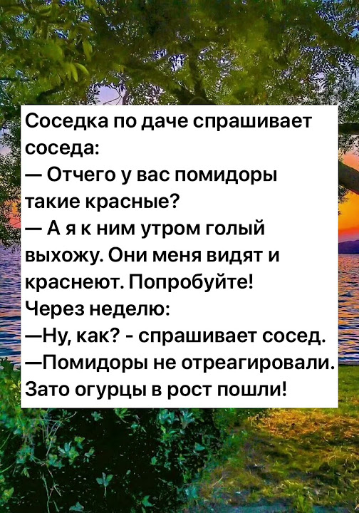 Анекдот про дачу 🤣 #юмор #мемы #приколы #анекдоты #shorts #длявзрослых ...