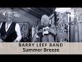 Summer breeze seals and crofts cover by the barry leef band