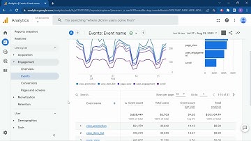 How to view event details (parameters) in GA4: Site Search Terms report