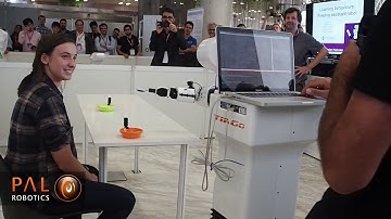 Mobile Manipulation Hackathon (IROS 2018) - IRI Team