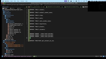 OSS: Finishing up SurrealORM, in Rust | database migration tooling | Bollywood vibing