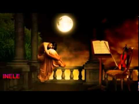 ΠΕΦΤΕΙ ΤΟ ΦΕΓΓΑΡΙ -ΕΛΕΝΗ ΔΗΜΟΥ
