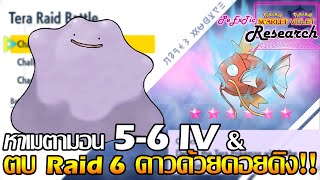 วิธีหาเมตามอน(Ditto) 5-6 IV & ตบRaid6ดาวด้วยคอยคิง | Pokemon Scarlet & Violet [ PeExTic Research ]