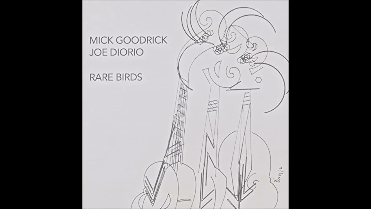 Mick Goodrick, Joe Diorio - Rare Birds (1993) - YouTube