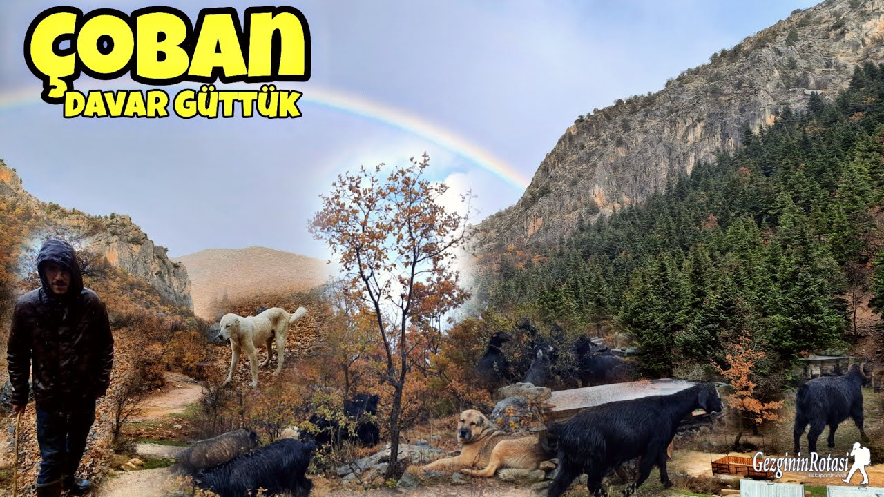 В один прекрасный день на ветру я стал приютским пастухом - трудная пастушеская жизнь с Хасаном Аем.