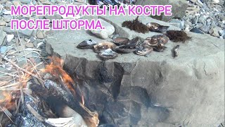 Сбор морепродуктов после шторма. Берег японского моря. поиск ракушек после шторма.