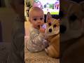 🐶👶「Mom, shhh please!」😂 Baby & Puppy watching TV together! #shorts