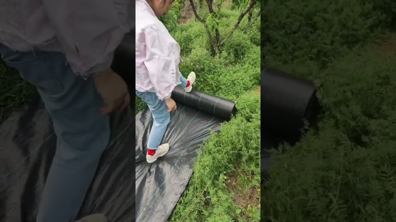 Still struggling with weeds in your garden, farmland, or landscape?