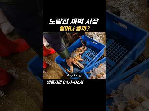 노량진 새벽 시장 수산물 1월 셋 째주 시세