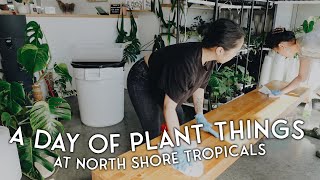 a day of plant things #02 at @northshoretropicals!