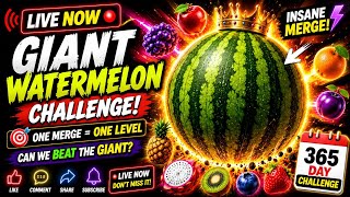 🔴 LIVE NOW 🍉 | GIANT WATERMELON CHALLENGE! 😱🔥 | ONE MERGE = ONE LEVELShort aur screenshot 1