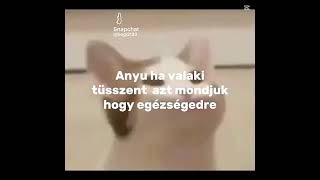 A Rák Egye Ki A Szívedet Teeeeee