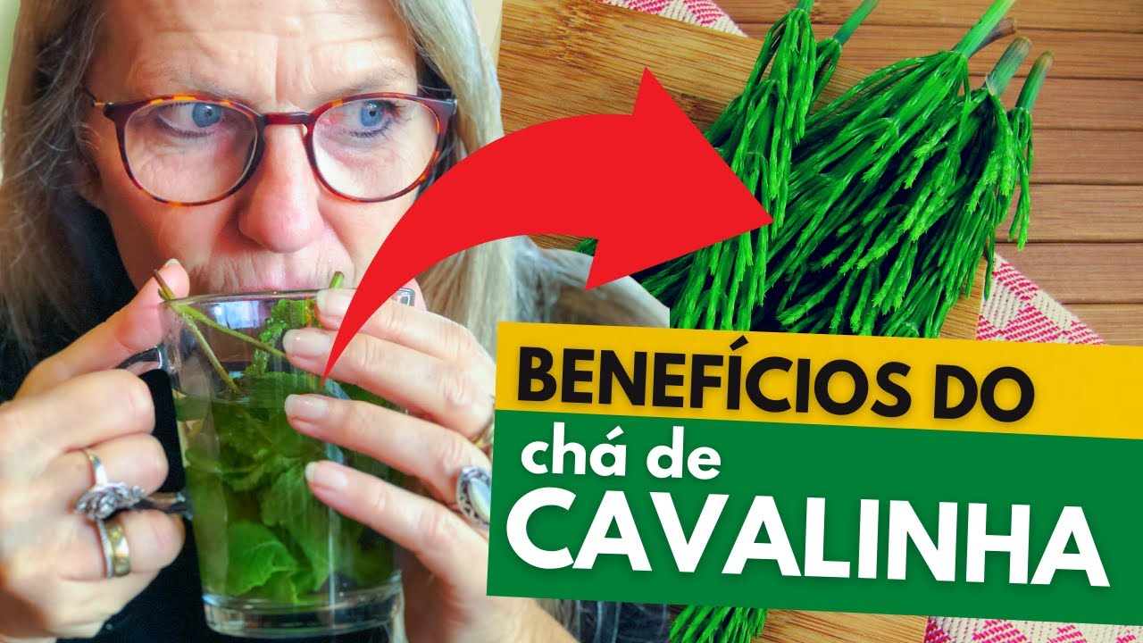 Para que serve Chá de Cavalinha? 5 benefícios comprovados (o 3° vai te ...