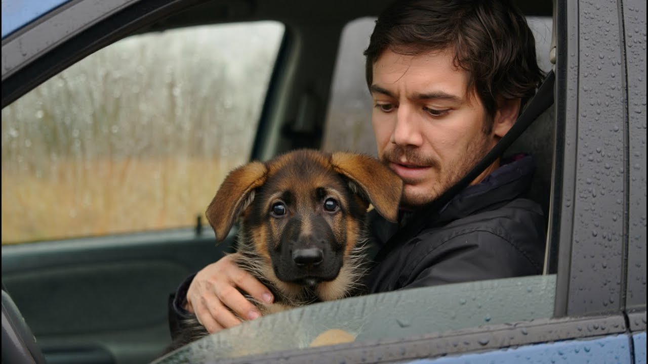 Han reddede en forladt hvalp, men anede ikke, at den ville blive hans kones eneste beskytter