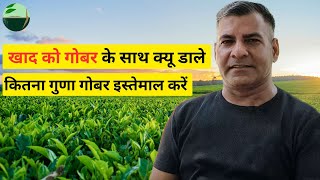 screenshot of the youtube video