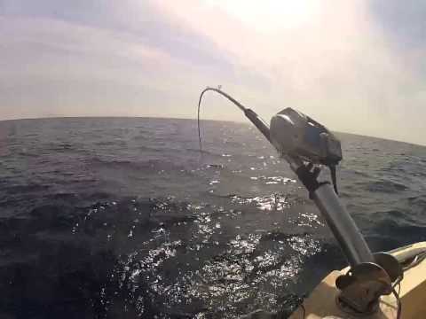 Bolentino Profondità Merluzzo