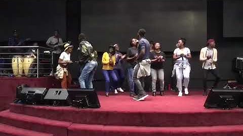 Delphin 6 fil solo and zamar