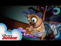 Young Pups | Puppy Playcare | Puppy Dog Pals | Disney Junior