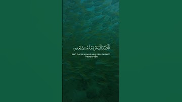 🤍💚لله ما في السماوات والأرض🎙️المقرئ:محمد الوكيل 📖سورة لقمان💫|الآية {26}|
