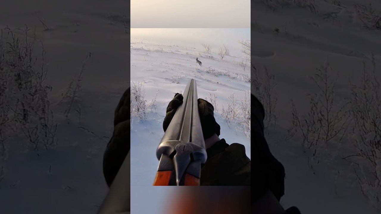 Точный выстрел по кролику | Реальная охота