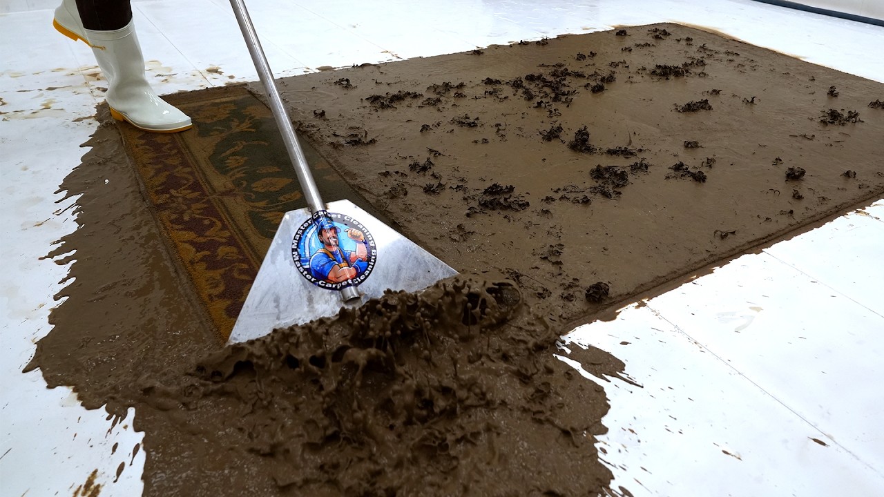 This Carpet Looked Like a Mud Field… Until We Touched It! | Satisfying Video, ASMR Cleaning