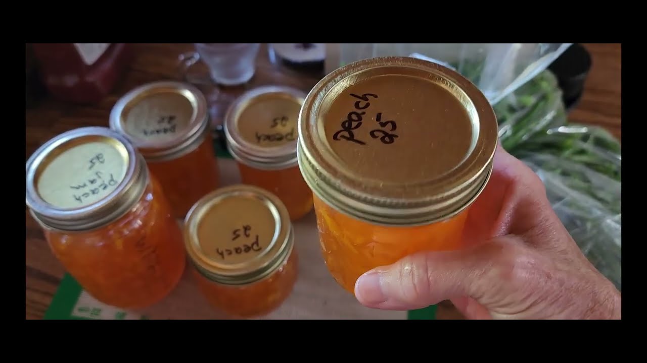 August update: Too busy for videos!