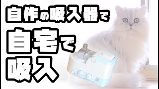 【猫カビのコムギ　その後】自作の吸入器で自宅吸入【気管支炎　喘息　鼻炎　猫風邪】