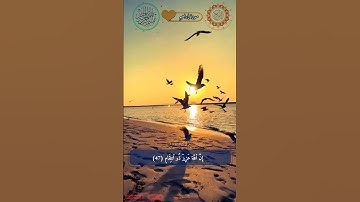 #قرآن #كريم #quran #kerim  #اكسبلور سورة ابراهيم الآية السادسة والأربعون والآية السابعة والأربعون