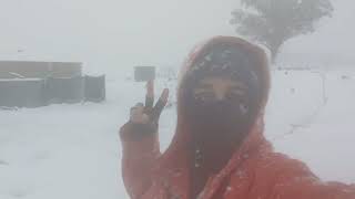 SNOW. Armidale Region, NSW. 12cm/ 5' Settled. Lets Go For An Australian Winter Wonderland Walk. 2Aug