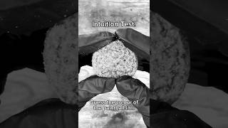 Intuition Test Can You Guess The Colour Of The Paintball Before Its Revealed?