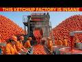 Inside the World’s Biggest Ketchup Factory – 500,000 LB of Perfectly Smooth Sauce