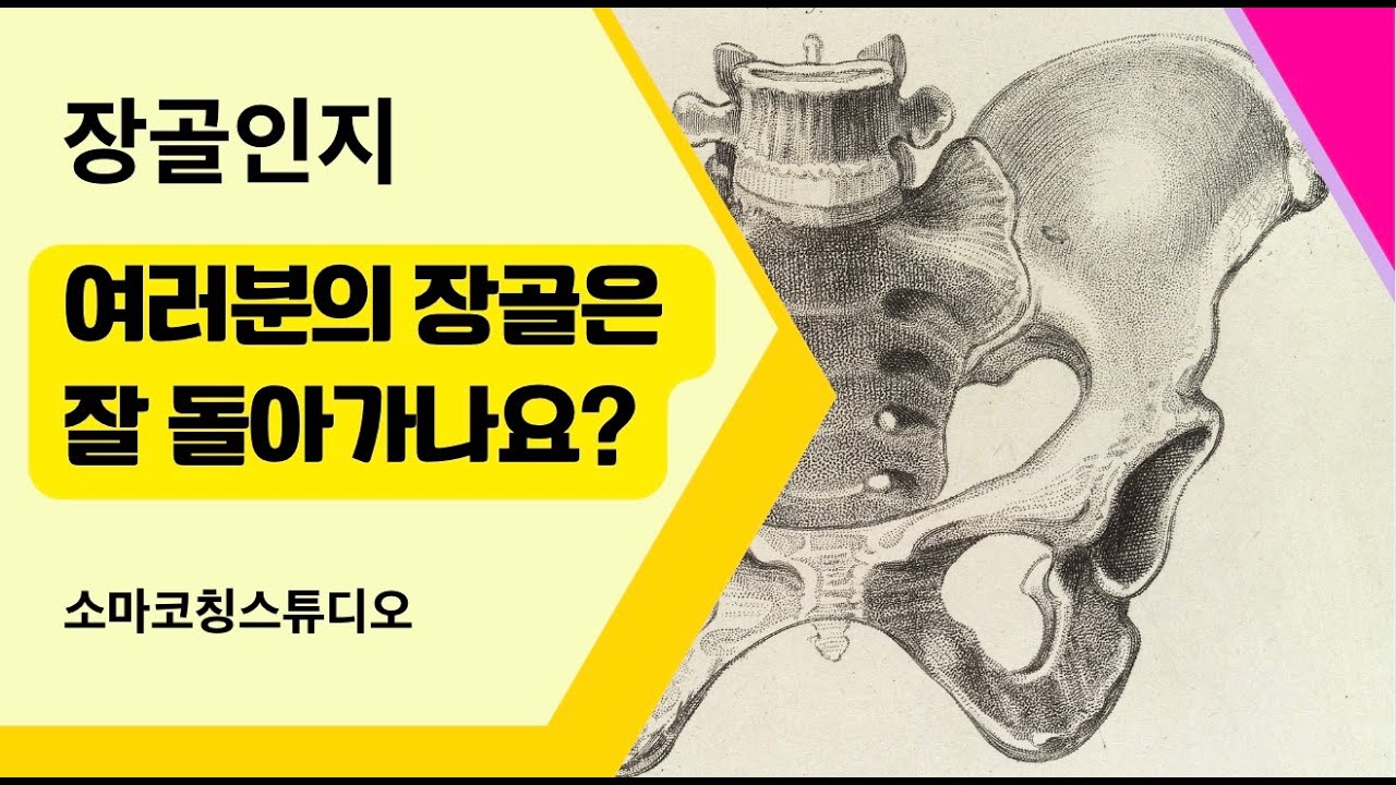 소마틱스 자세혁명_의자에 바르게 앉기 04. 장골인지 - 골반의 장골이 전방, 후방으로 돌아가는 느낌 인지 #소마틱스 #노화 ...