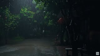 Pacific Northwest Rain & Thunder 🌧💧White Noise Sounds for Sleep, Studying or Relaxation At Night