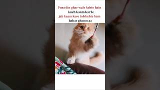 kaam karo #tweetreels#lofichill#lofimusic#aesthetic#aestheticstatus#brokenheart#sad#fyp#shorts#funny