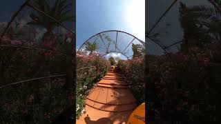 Adaland Aquapark Walk to Tarantula single Tube Water Slide #Shorts