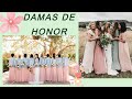 DAMAS DE HONOR    tips y consejos