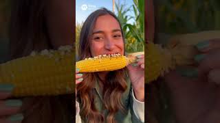 Download Lagu Everlasting corn MP3