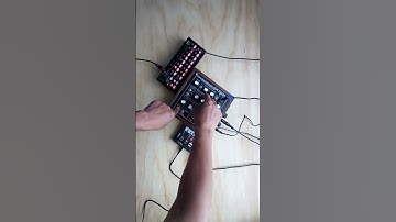 noise toaster #noisetoaster