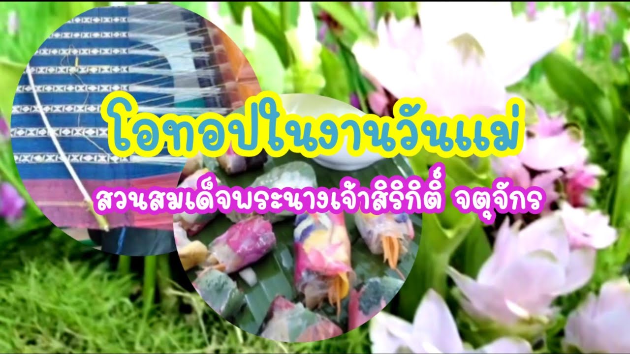 ชมสินค้าโอทอปในงานสีสรรพรรณไม้สวนสมเด็จพระนางเจ้า เขตจตุจักร