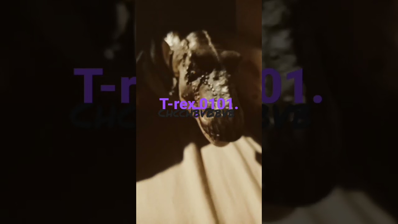 rex 🦖🦖🦕💀🕷️🦕🦖 - YouTube
