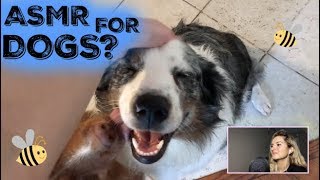 TRYING TO GIVE MY DOGS ASMR // Soft Spoken & Silly screenshot 5