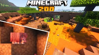 Building the Perfect Armadillo Enclosure in Minecraft Zoo