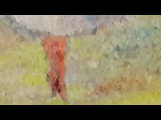 Footsteps