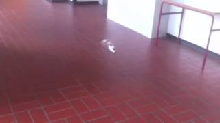 WLtoys v911 problem part1
