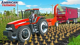 CHOPPING SILAGE FOR THE $2,000,000 DAIRY FARM! | AMERICAN FARMING screenshot 4