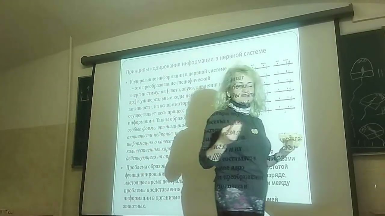 Принципы кодирования информации - YouTube