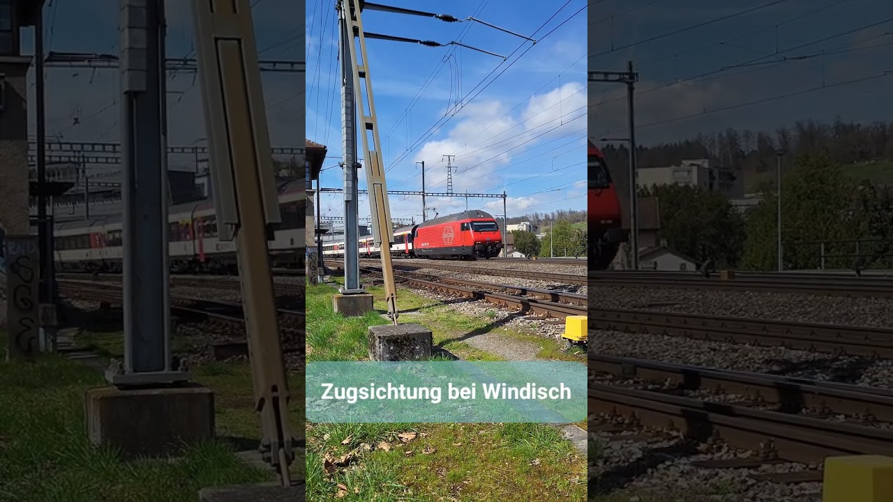 Zugsichtung bei Windisch, Kanton Aargau, Schweiz 2023 / #shorts