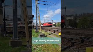 Zugsichtung bei Windisch, Kanton Aargau, Schweiz 2023 / #shorts