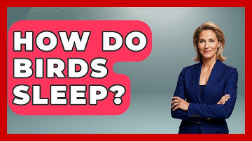 How Do Birds Sleep? - Exploring Campgrounds